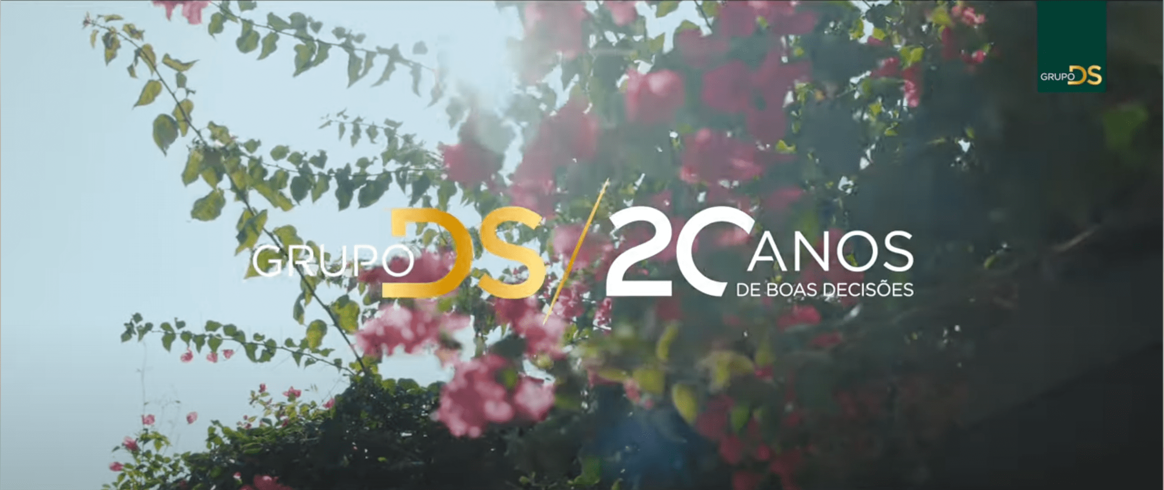 Capa do Vídeo DS 20 anos